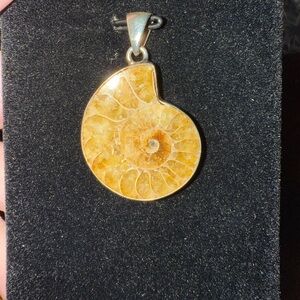 Ammonite fossil pendant